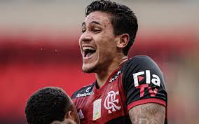 Resultado de imagem para flamengo